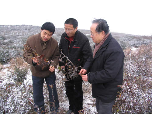 魯副所長（左）在大嵐鎮察看災情