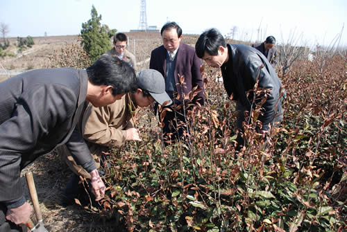 王立研究員（左二）現場技術指導